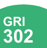 GRI 302