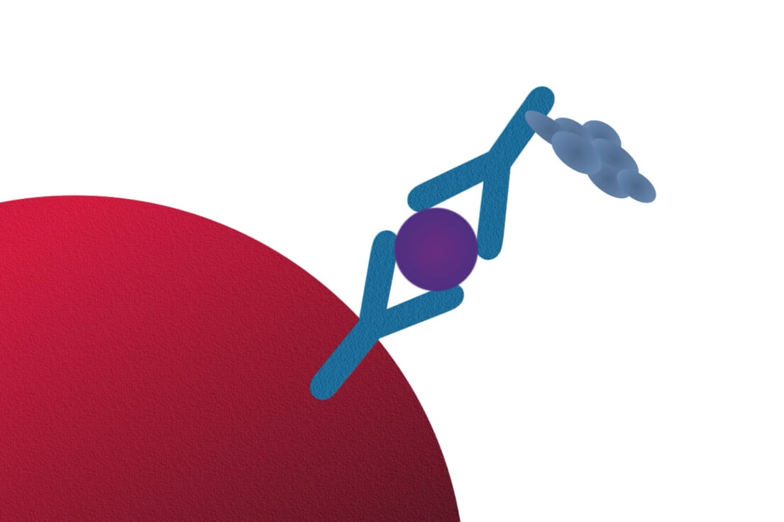 Luminex xMAP® Sandwich Immunoassays - Diasorin