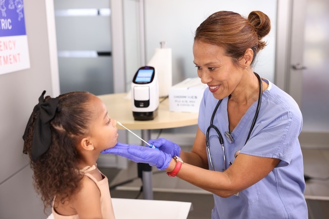 The LIAISON<sup>®</sup> NES Instrument