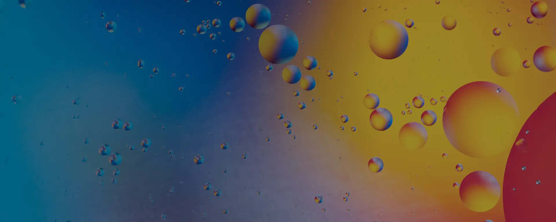 xMap Connect