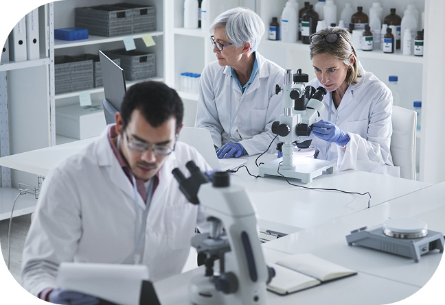 Research & Development
