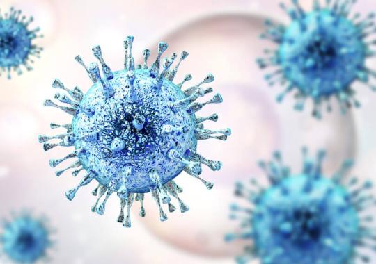 LIAISON® Diasorin Immunodiagnostic Test for the diagnosis of Cytomegalovirus