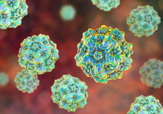 Diagnostic solution for the diagnosis of Fifth Disease in pregnant women - Diasorin