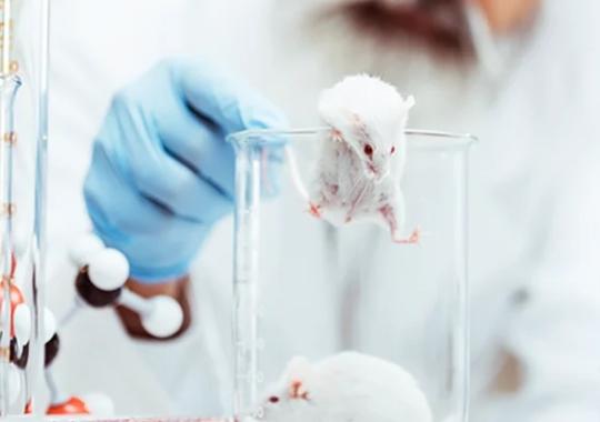 METHODS Special Issue: Multiplexing to Quantify Cytokines and Chemokines in Mouse Brain Study