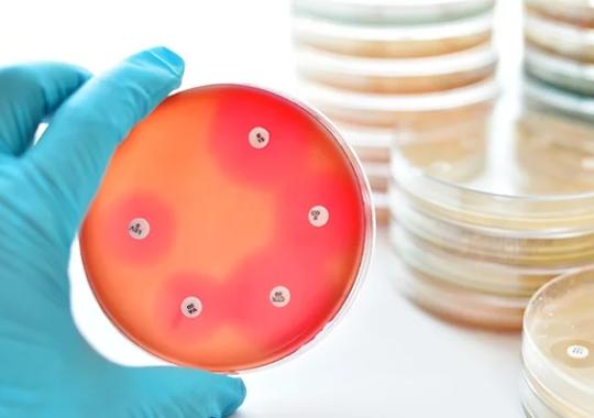 Join Us in Raising Awareness about Antimicrobial Stewardship