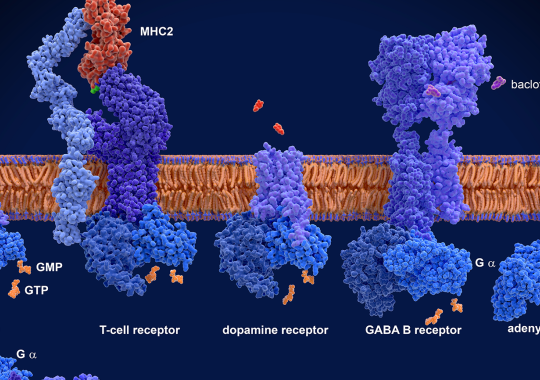 Scientists Use Scalable
