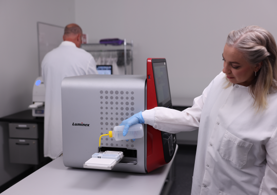 Video Demonstration: Monitoring Immune Response with a Dual-Reporter System