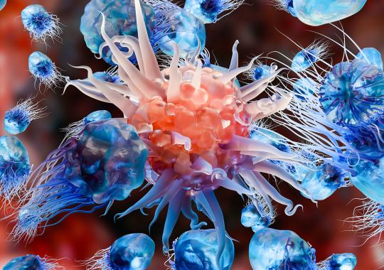 Questions to Ask When Choosing a Multiplex Assay Kit