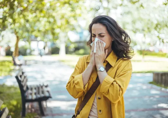 shutterstock_2427484165