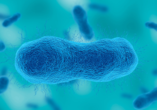 shutterstock_2667785581