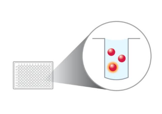 Incorporate Magplex® Monitor Beads Into The Assay Bead Mix - Diasorin