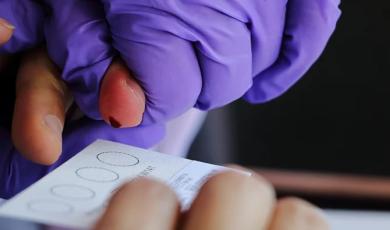 Partner Spotlight: ImmunoProfile®