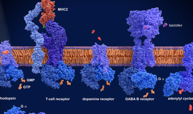 Scientists Use Scalable