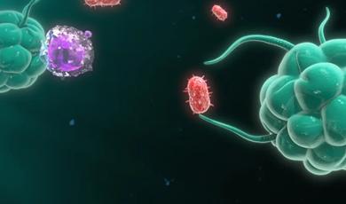 METHODS Special Issue: Multiplexing Protocol for Evaluating Biological Interactions with Nanoparticles
