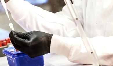 Multiplex Bead Mixes Made Easy with an Excel-Based Bead Calculator