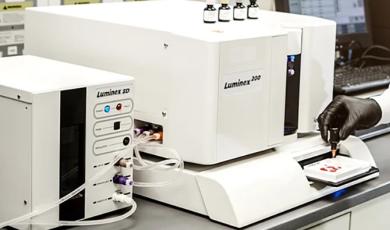 Multiplexing Provides Richer Information for Veterinary Testing