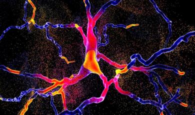 Webinar: How Drug Discovery Scientists Improved Biomarker Evaluation with xMAP® Technology