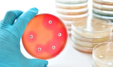 Join Us in Raising Awareness about Antimicrobial Stewardship