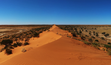 shutterstock_1922010839