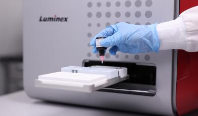 Luminex Photo Shoot (Feb 2025)1714 (1)