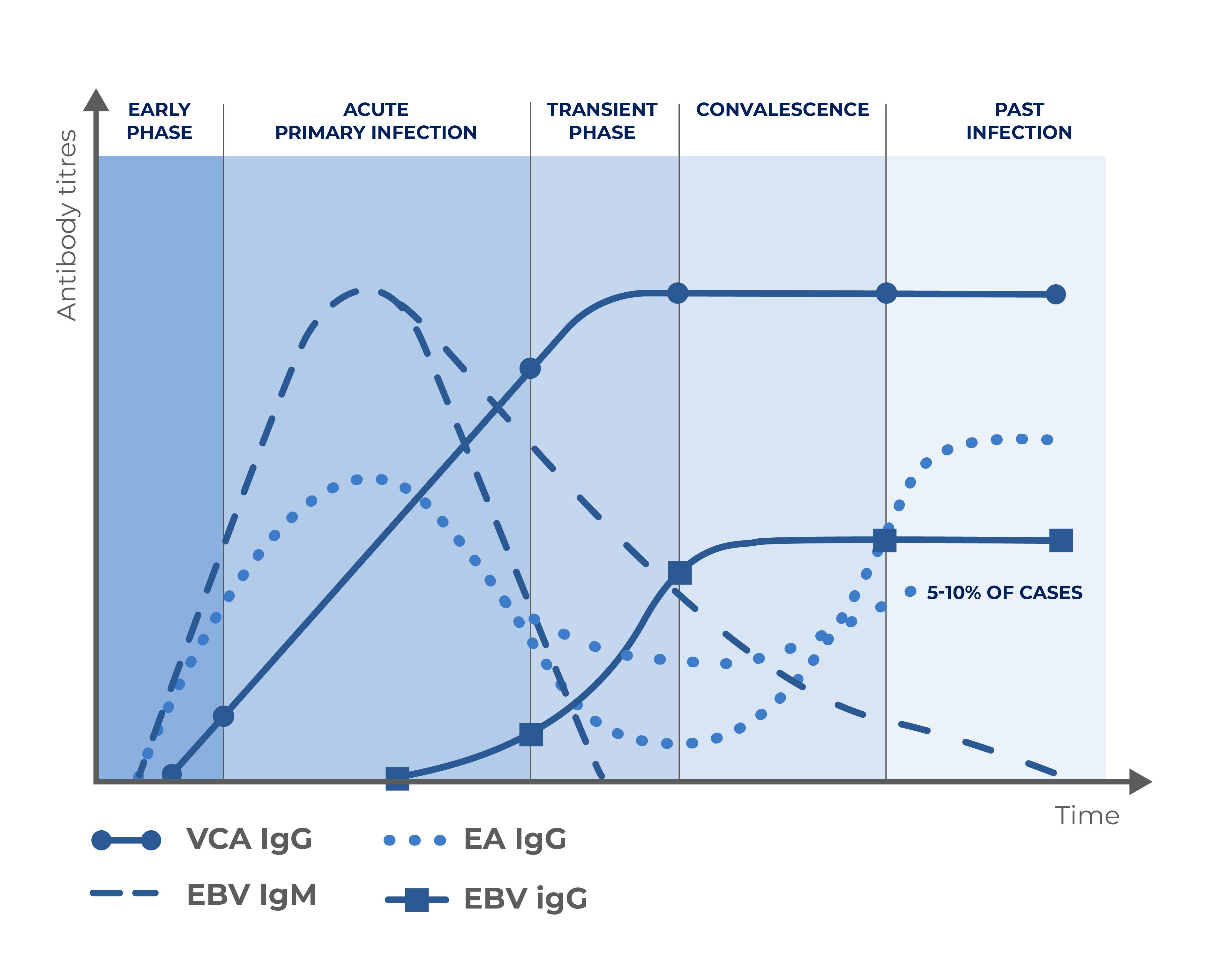 EBV Infection Evolution Graph - Diasorin