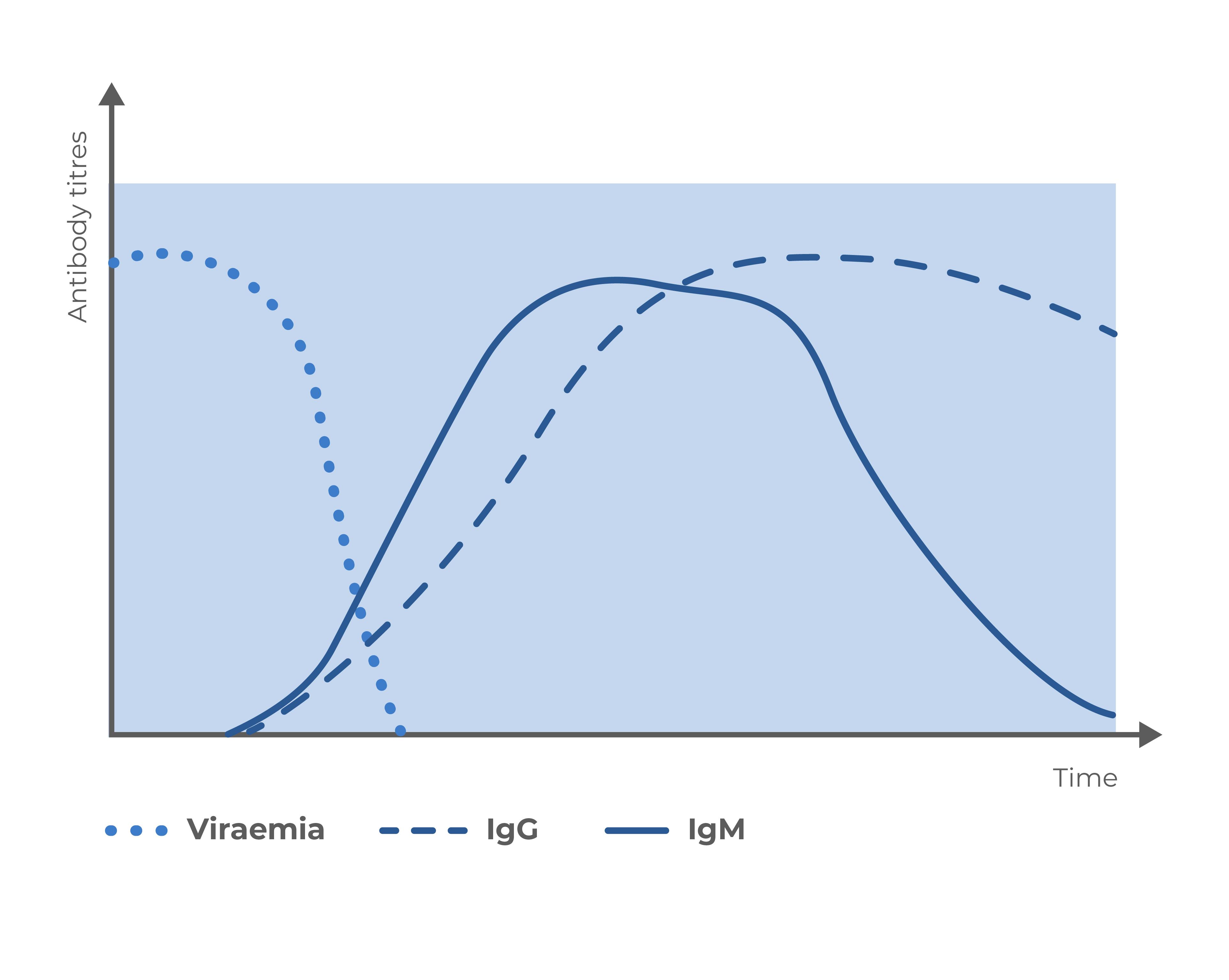 Parvovirus Disease Evolution Graph - Diasorin