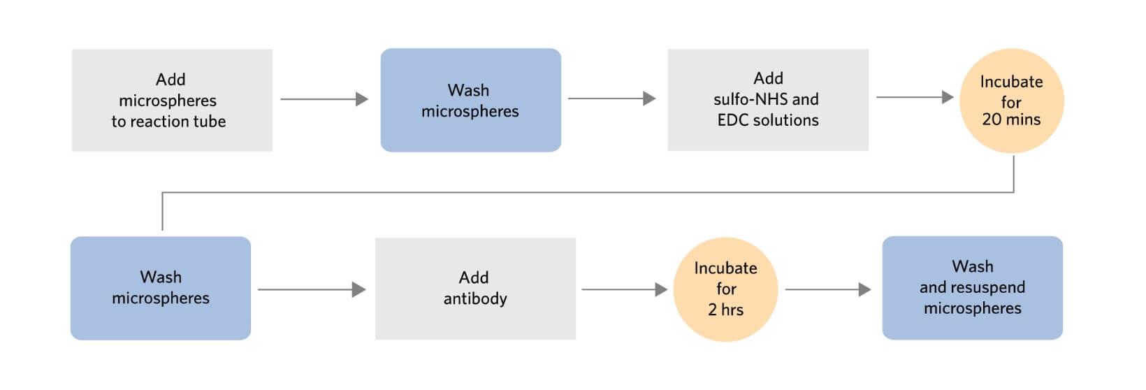 Xmap® Antibody Coupling Kit map